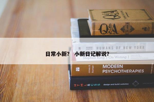 日常小新？ 小新日记解说？