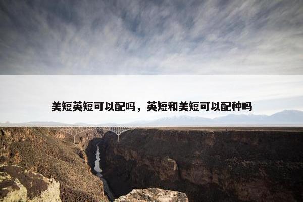 美短英短可以配吗，英短和美短可以配种吗