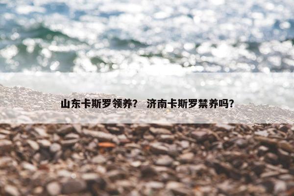 山东卡斯罗领养？ 济南卡斯罗禁养吗？