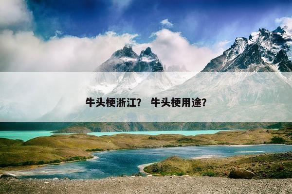 牛头梗浙江？ 牛头梗用途？