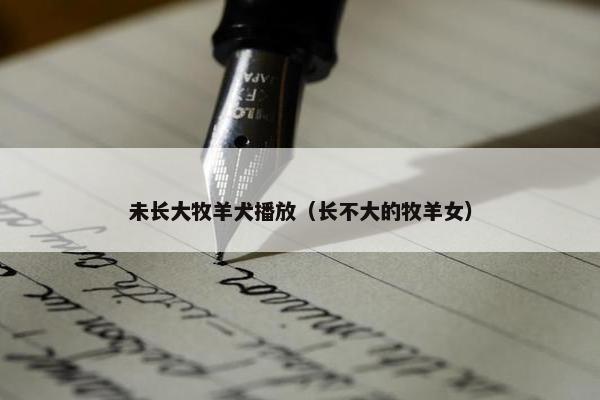 未长大牧羊犬播放（长不大的牧羊女）