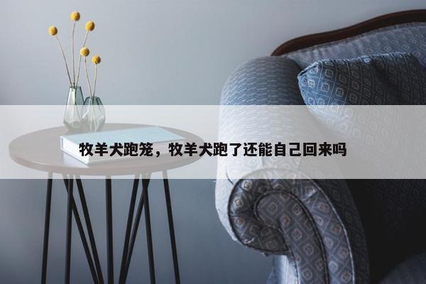 牧羊犬跑笼，牧羊犬跑了还能自己回来吗