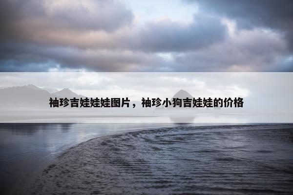袖珍吉娃娃娃图片，袖珍小狗吉娃娃的价格