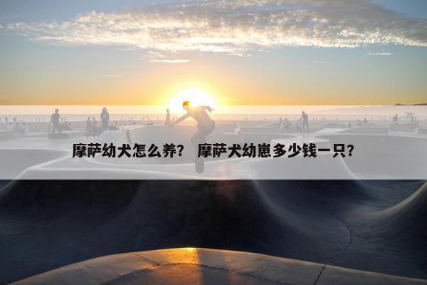 摩萨幼犬怎么养？ 摩萨犬幼崽多少钱一只？