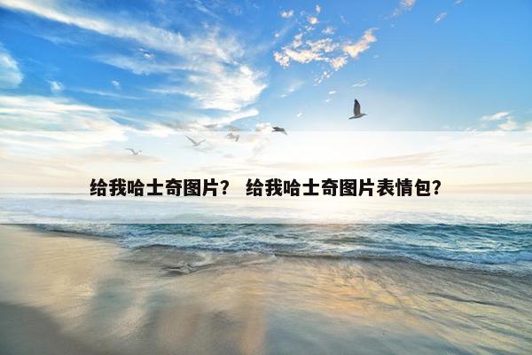 给我哈士奇图片？ 给我哈士奇图片表情包？