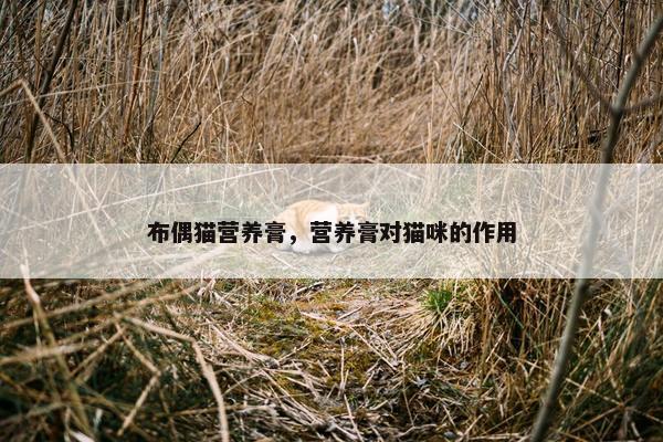 布偶猫营养膏，营养膏对猫咪的作用