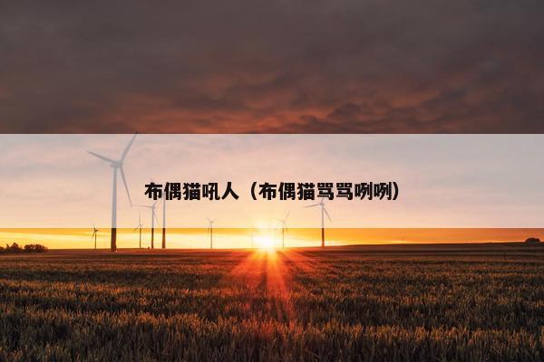 布偶猫吼人（布偶猫骂骂咧咧）