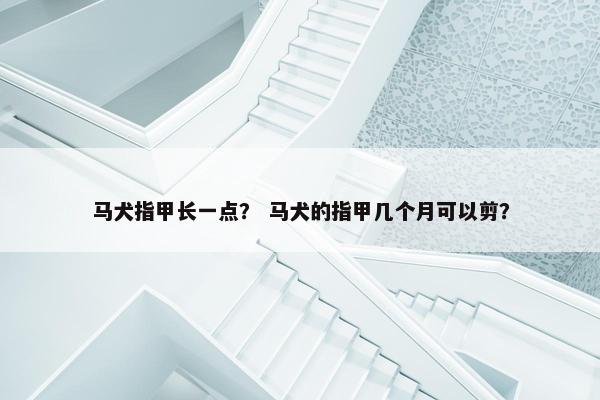 马犬指甲长一点? 马犬的指甲几个月可以剪?
