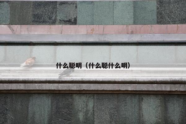 什么聪明（什么聪什么明）