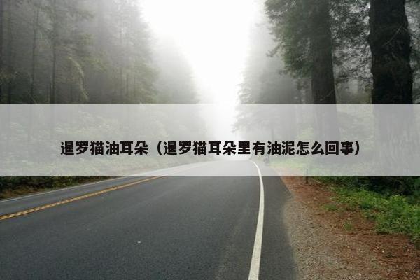 纯种 第55页