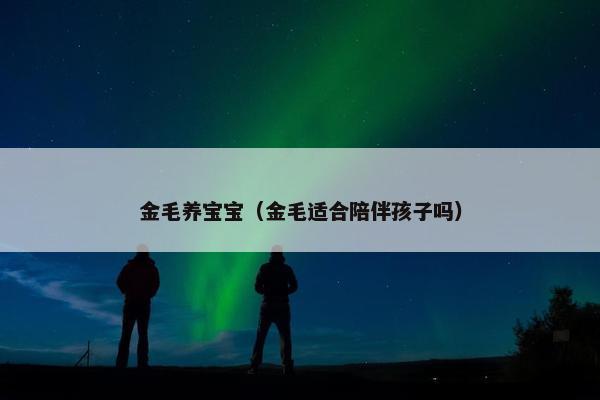 金毛养宝宝（金毛适合陪伴孩子吗）