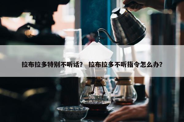 拉布拉多特别不听话？ 拉布拉多不听指令怎么办？