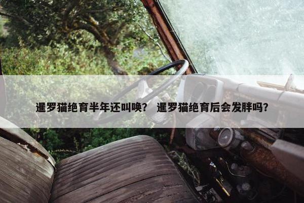 暹罗猫绝育半年还叫唤？ 暹罗猫绝育后会发胖吗？