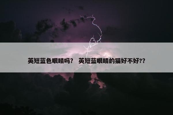英短蓝色眼睛吗？ 英短蓝眼睛的猫好不好?？