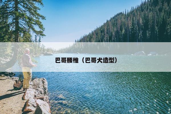 巴哥腰椎（巴哥犬造型）