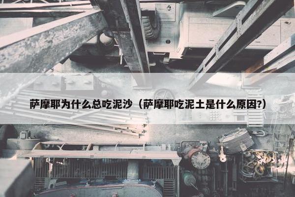 萨摩耶为什么总吃泥沙（萨摩耶吃泥土是什么原因?）