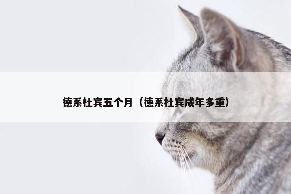 身高 第3页