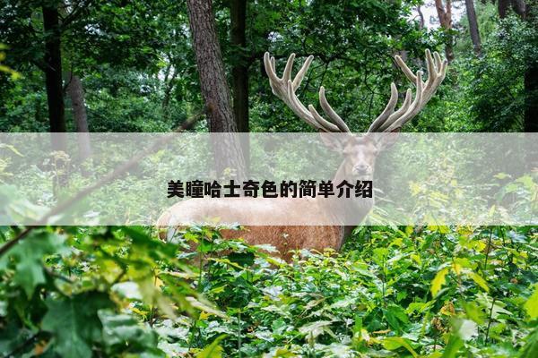 舒适度
