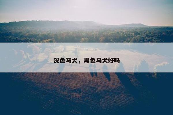 深色马犬,黑色马犬好吗