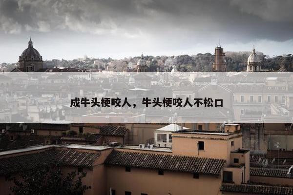 成牛头梗咬人，牛头梗咬人不松口