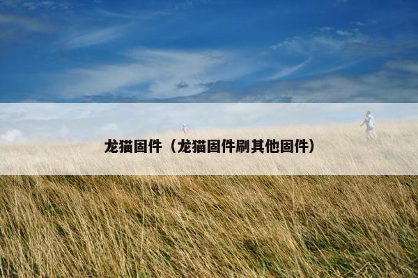 固件