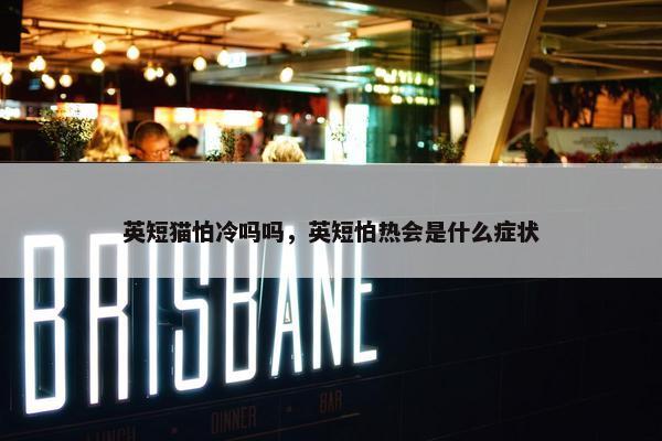 英短猫怕冷吗吗，英短怕热会是什么症状
