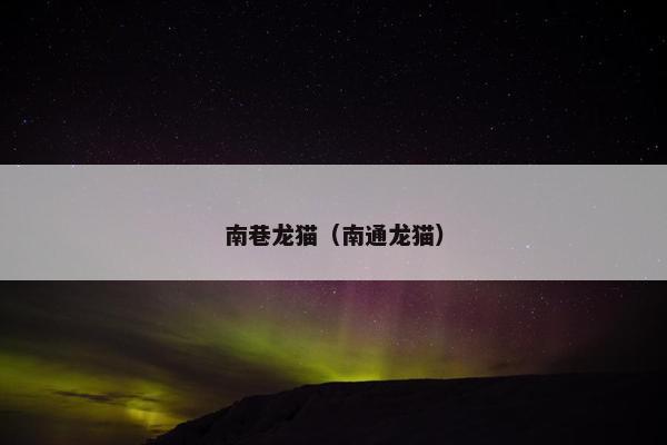 南巷龙猫（南通龙猫）