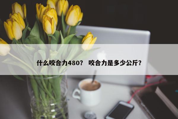 什么咬合力480？ 咬合力是多少公斤？