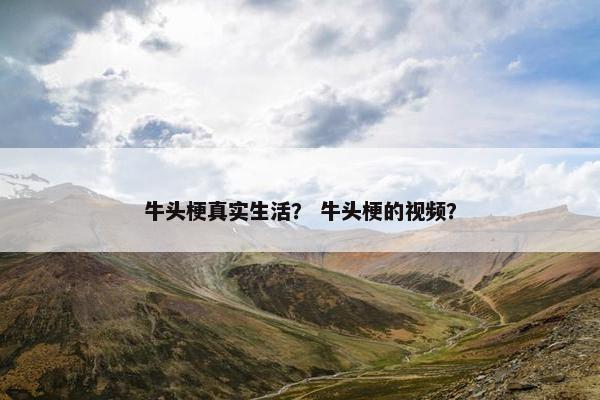 牛头梗真实生活？ 牛头梗的视频？