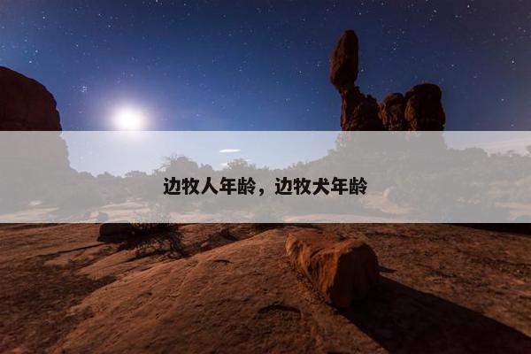 边牧人年龄，边牧犬年龄