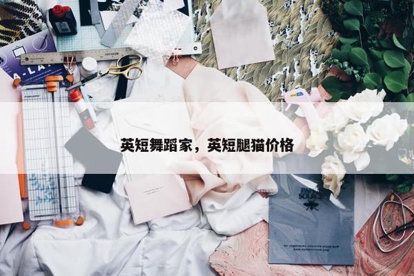 英短舞蹈家，英短腿猫价格