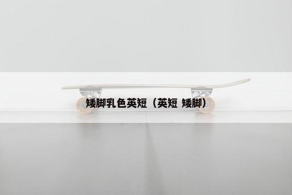 矮脚乳色英短（英短 矮脚）