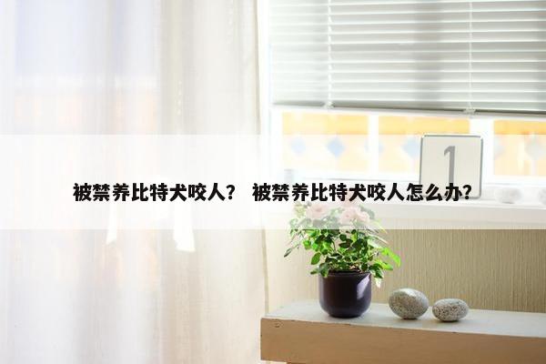 被禁养比特犬咬人？ 被禁养比特犬咬人怎么办？