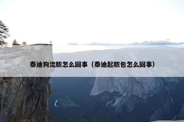 泰迪狗流脓怎么回事（泰迪起脓包怎么回事）