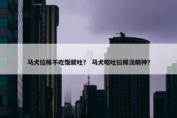 马犬拉稀不吃饭就吐? 马犬呕吐拉稀没精神?