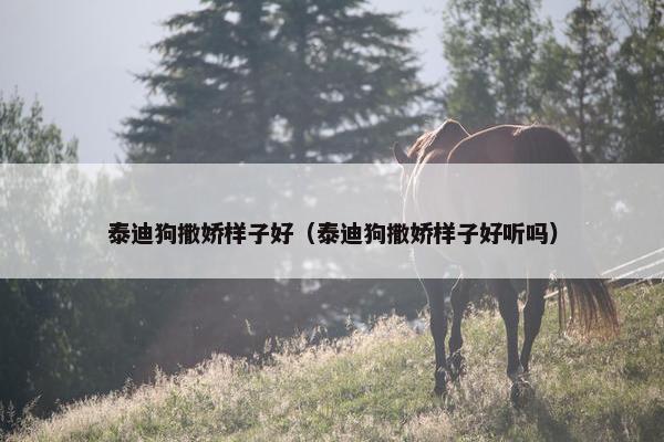 表现 第3页