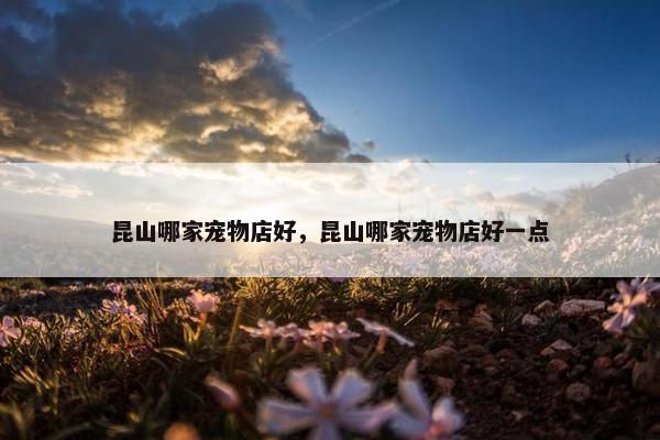 昆山哪家宠物店好，昆山哪家宠物店好一点