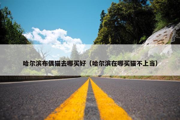 布偶猫 第65页