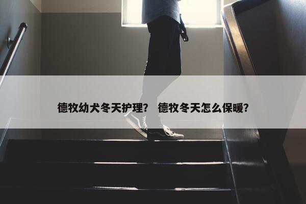 德牧幼犬冬天护理？ 德牧冬天怎么保暖？