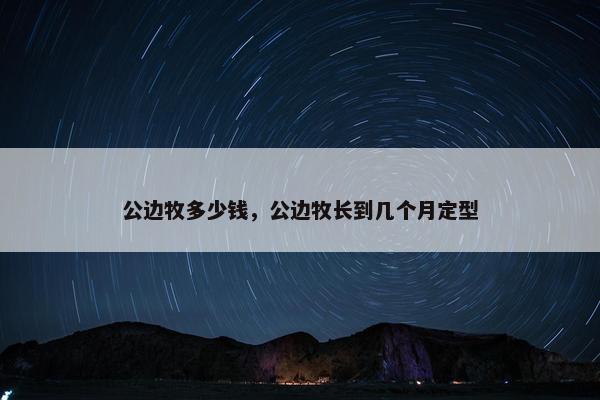 公边牧多少钱，公边牧长到几个月定型