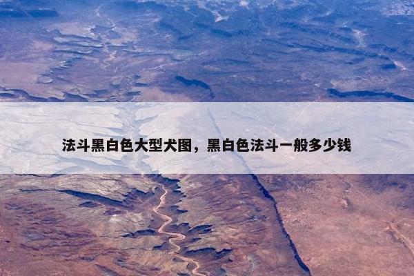 法斗黑白色大型犬图,黑白色法斗一般多少钱