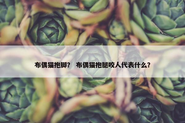 布偶猫抱脚？ 布偶猫抱腿咬人代表什么？