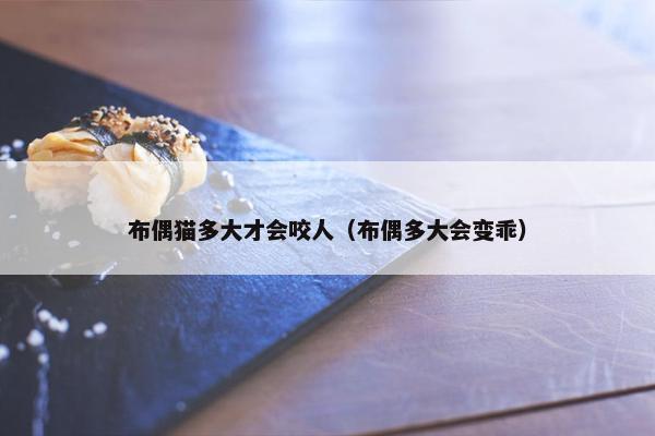 布偶猫多大才会咬人（布偶多大会变乖）