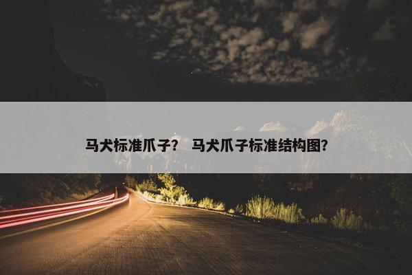 马犬标准爪子？ 马犬爪子标准结构图？