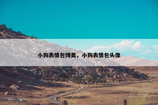 小狗表情包博美,小狗表情包头像
