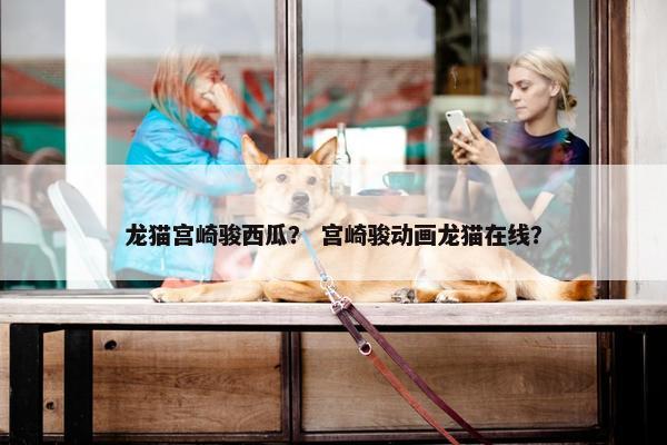 龙猫宫崎骏西瓜？ 宫崎骏动画龙猫在线？