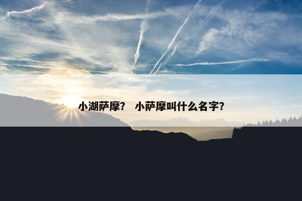 小湖萨摩？ 小萨摩叫什么名字？