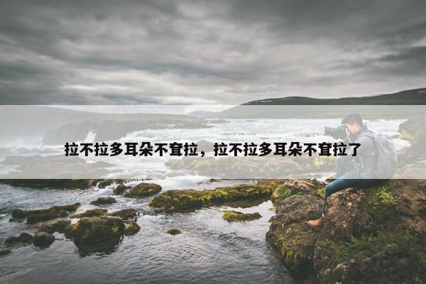 拉不拉多耳朵不耷拉，拉不拉多耳朵不耷拉了
