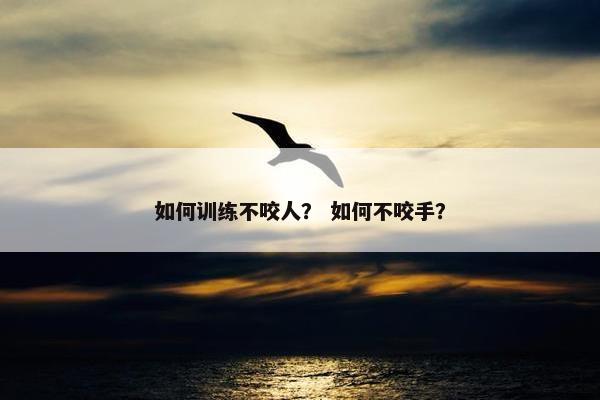 如何训练不咬人? 如何不咬手?