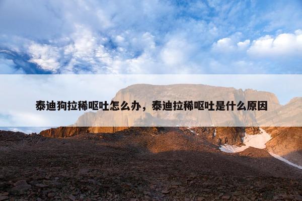 泰迪狗拉稀呕吐怎么办,泰迪拉稀呕吐是什么原因